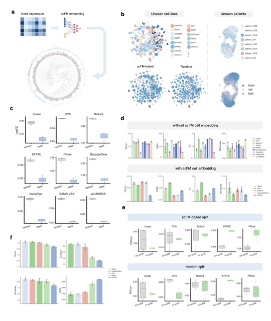 Benchmarking virtual cell models for in-the-wild perturbation response